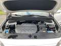 Hyundai SANTA FE 2.2 CRDi Premium +AHK+Navi+R.Kam+Leder++ White - thumbnail 14