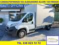 Fiat FIAT FIAT DUCATO 130CV 6M Cabinato  TELONATO Bianco - thumbnail 3