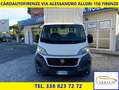 Fiat FIAT FIAT DUCATO 130CV 6M Cabinato  TELONATO Bianco - thumbnail 1