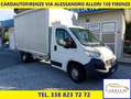 Fiat FIAT FIAT DUCATO 130CV 6M Cabinato  TELONATO Bianco - thumbnail 2