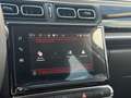 Citroen C3 C3 BlueHDi 100 S&S Shine Bianco - thumbnail 15
