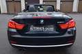 BMW 420 i Cabrio Luxury Line*HUD*LEDER*LED*MEMORY Nero - thumbnail 5