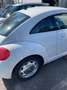 Volkswagen New Beetle 1.6 tdi 105cv Bílá - thumbnail 4