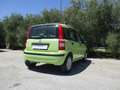 Fiat Panda DYNAMIC Vert - thumbnail 4