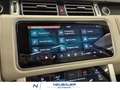 Land Rover Range Rover 5.0 V8 S/C 525ch Autobiography SWB Mark IX Gris - thumbnail 15