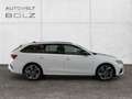 Skoda Octavia Combi RS Plus 4x4 2.0 TDI HUD Panodach Navi Kamera Blanc - thumbnail 8