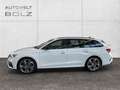 Skoda Octavia Combi RS Plus 4x4 2.0 TDI HUD Panodach Navi Kamera Blanc - thumbnail 7