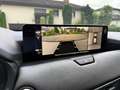 Mazda CX-60 3.3L e-SKYACTIV D AWD HOMURA PLUS Aut. Homura Plus Grau - thumbnail 13
