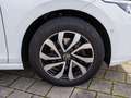 Volkswagen Golf Active 1.5 eTSI DSG LED Navi RFK Stdhzg AHK Weiß - thumbnail 9