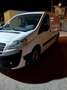 Fiat Scudo isotermico - thumbnail 2