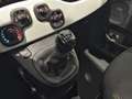 Fiat Panda 1.0 FireFly 70cv S&S Hybrid Pandina Blanc - thumbnail 17