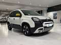Fiat Panda 1.0 FireFly 70cv S&S Hybrid Pandina Blanc - thumbnail 5
