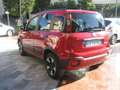 Fiat New Panda CROSS 1.0 FIREFLY S-S HYBRID Rosso - thumbnail 2