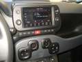 Fiat New Panda CROSS 1.0 FIREFLY S-S HYBRID Rosso - thumbnail 6