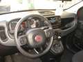 Fiat New Panda CROSS 1.0 FIREFLY S-S HYBRID Rosso - thumbnail 13