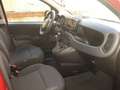 Fiat New Panda CROSS 1.0 FIREFLY S-S HYBRID Rosso - thumbnail 4