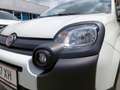 Fiat Panda Cross Weiß - thumbnail 16