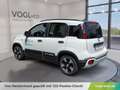 Fiat Panda Cross Weiß - thumbnail 3