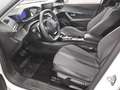 Peugeot 2008 1.5 BlueHDi 130 Allure 2-Sitzer LED ACC Shz Weiß - thumbnail 9