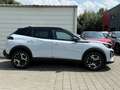 Peugeot 2008 2008 GT Hybrid 145 e-DSC - Sofort - Blanc - thumbnail 5