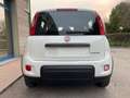 Fiat Panda 1.0 70CV HYBRID 5 POSTI SENSORI PARCH. BLUETOOTH Bianco - thumbnail 5