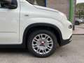 Fiat Panda 1.0 70CV HYBRID 5 POSTI SENSORI PARCH. BLUETOOTH Bianco - thumbnail 3