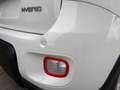 Fiat Panda 1.0 70CV HYBRID 5 POSTI SENSORI PARCH. BLUETOOTH Bianco - thumbnail 14