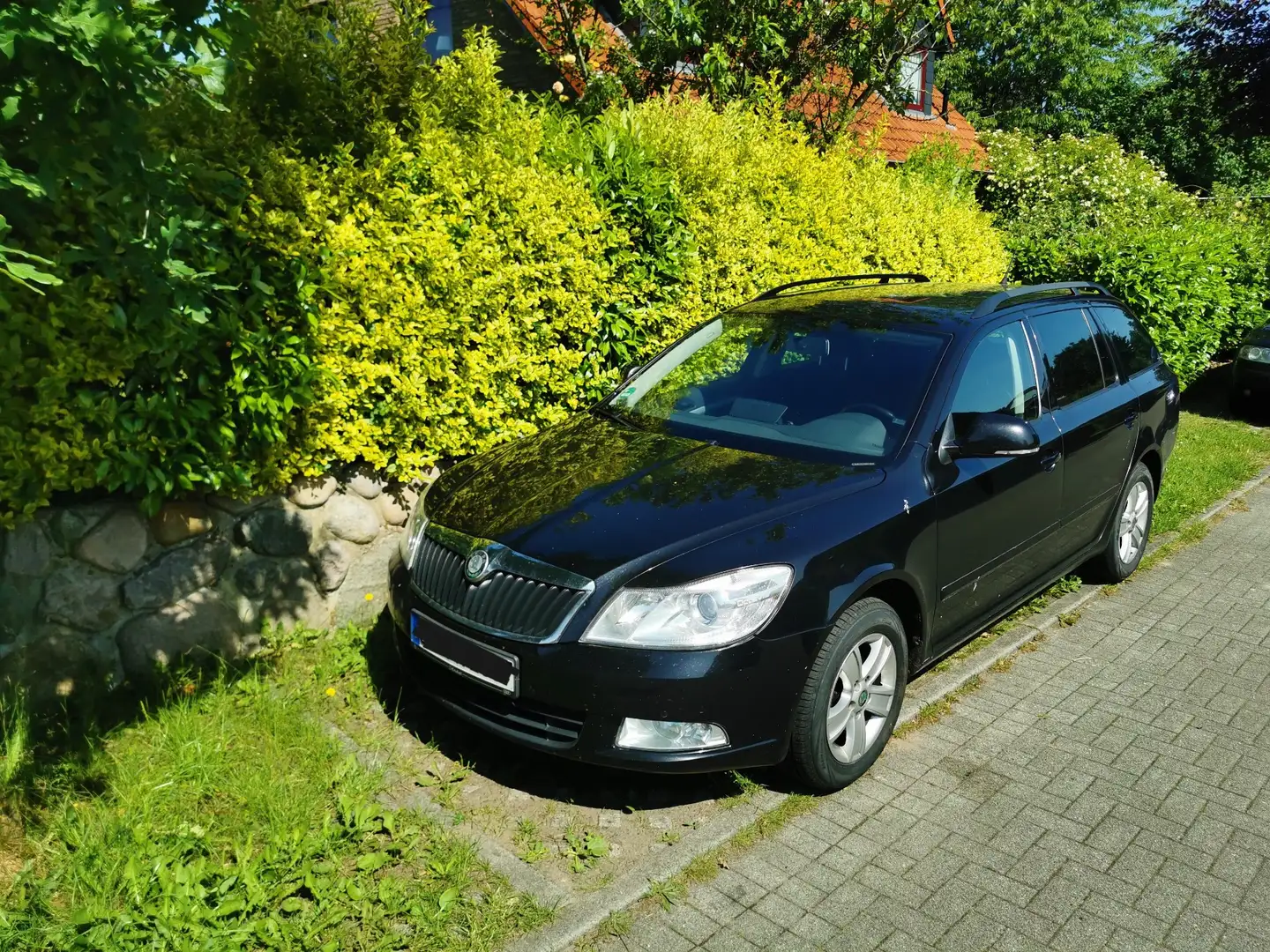 Skoda Octavia Octavia Combi 1.6 TDI DPF DSG Ambiente - 1