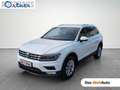 Volkswagen Tiguan Comfortline TDI SCR 4MOTION DSG Weiß - thumbnail 1