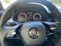 Skoda Kamiq 1.0 TSI Ambition 110cv DSG Blu/Azzurro - thumbnail 15