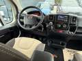 Fiat Ducato McLouis GLAMYS 222 2.3 140CV 7PLACES ROLLER FULL Weiß - thumbnail 15