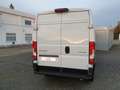 Citroen Jumper Kasten 35 L2H2 HDi 140 inkl. Bodenplatte Weiß - thumbnail 4