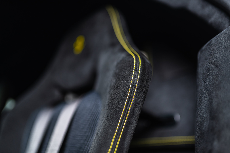 Ferrari 458 458 Speciale - Liftsystem, Stripes — photo 13