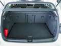 Volkswagen Golf VIII 1.5 eTSI DSG MOVE AHK, NAVI, ACC LED Weiß - thumbnail 19