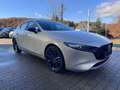 Mazda 3 3 e-SKYACTIV-G 140 Automatik HOMURA Head Up Beige - thumbnail 3