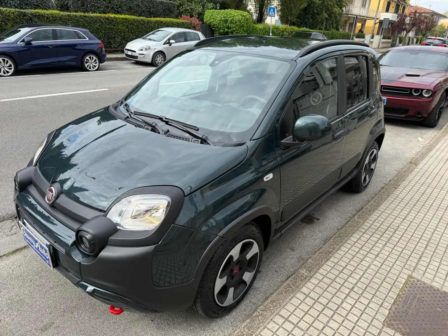 Fiat Panda Cross 1.0 FireFly S&S Hybrid Verde - 1