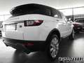 Land Rover Range Rover Evoque LAND ROVER -  -  2.0 TD4 150CV 5 Blanc - thumbnail 2