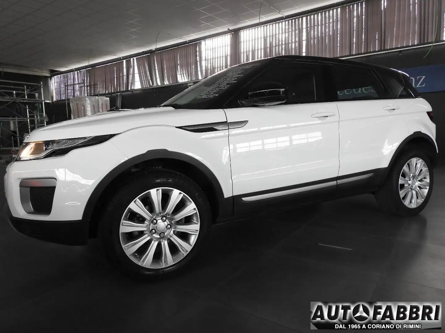 Land Rover Range Rover Evoque LAND ROVER -  -  2.0 TD4 150CV 5 Blanc - 1
