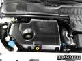 Land Rover Range Rover Evoque LAND ROVER -  -  2.0 TD4 150CV 5 Bianco - thumbnail 28