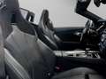 BMW Z4 M40i *FROZEN GREY* Head-Up akt.Geschwindigkeitsreg Gris - thumbnail 12
