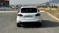 Porsche Cayenne Diesel Platinum Edition Aut. - thumbnail 3