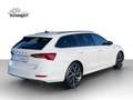 Skoda Octavia Combi 2.0 TDI Sportline HuD LED CANTON Weiß - thumbnail 6