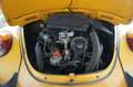 Volkswagen Maggiolino Yellow - thumbnail 6