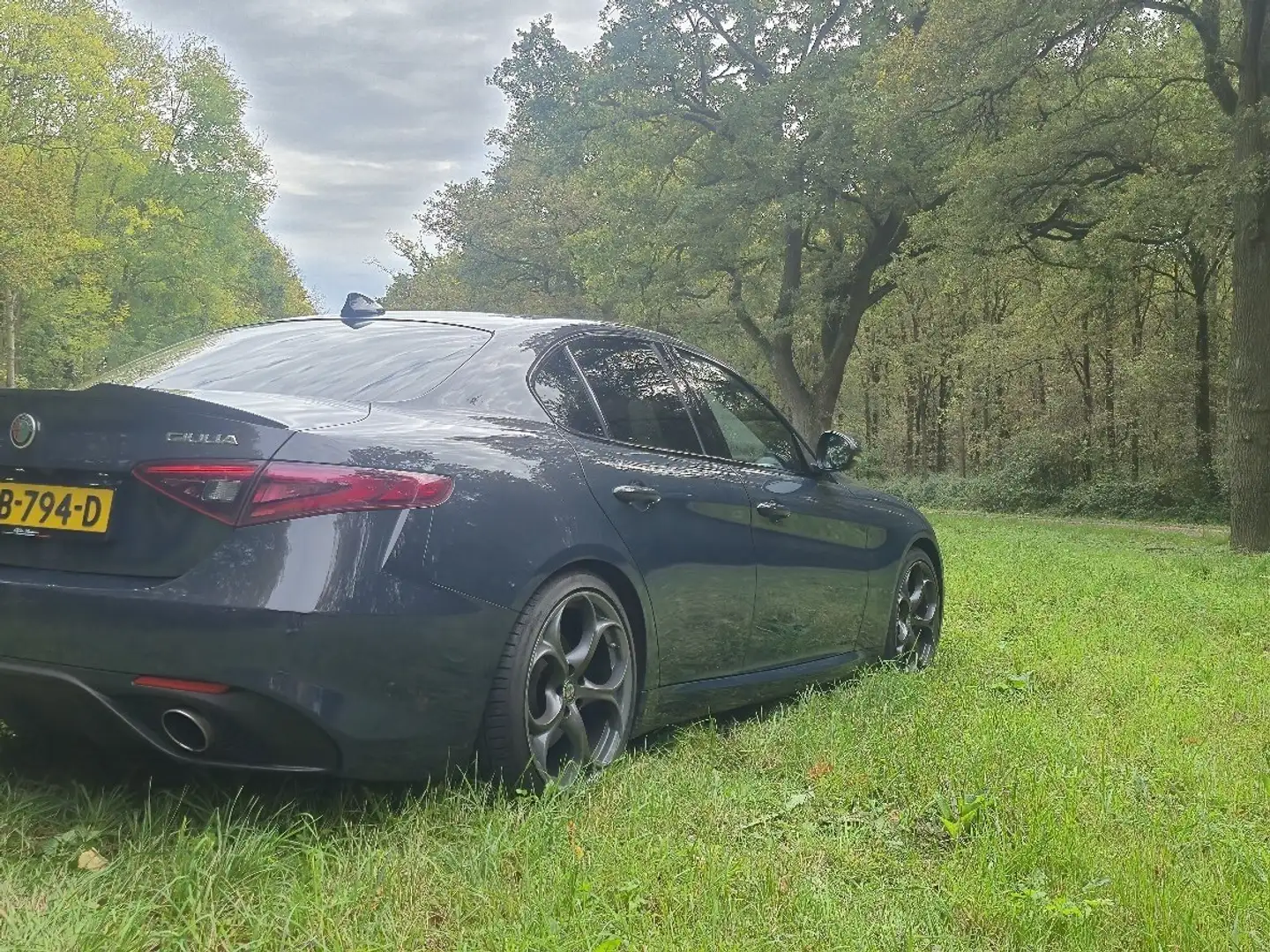Alfa Romeo Giulia 2.0T Super Blauw - 2