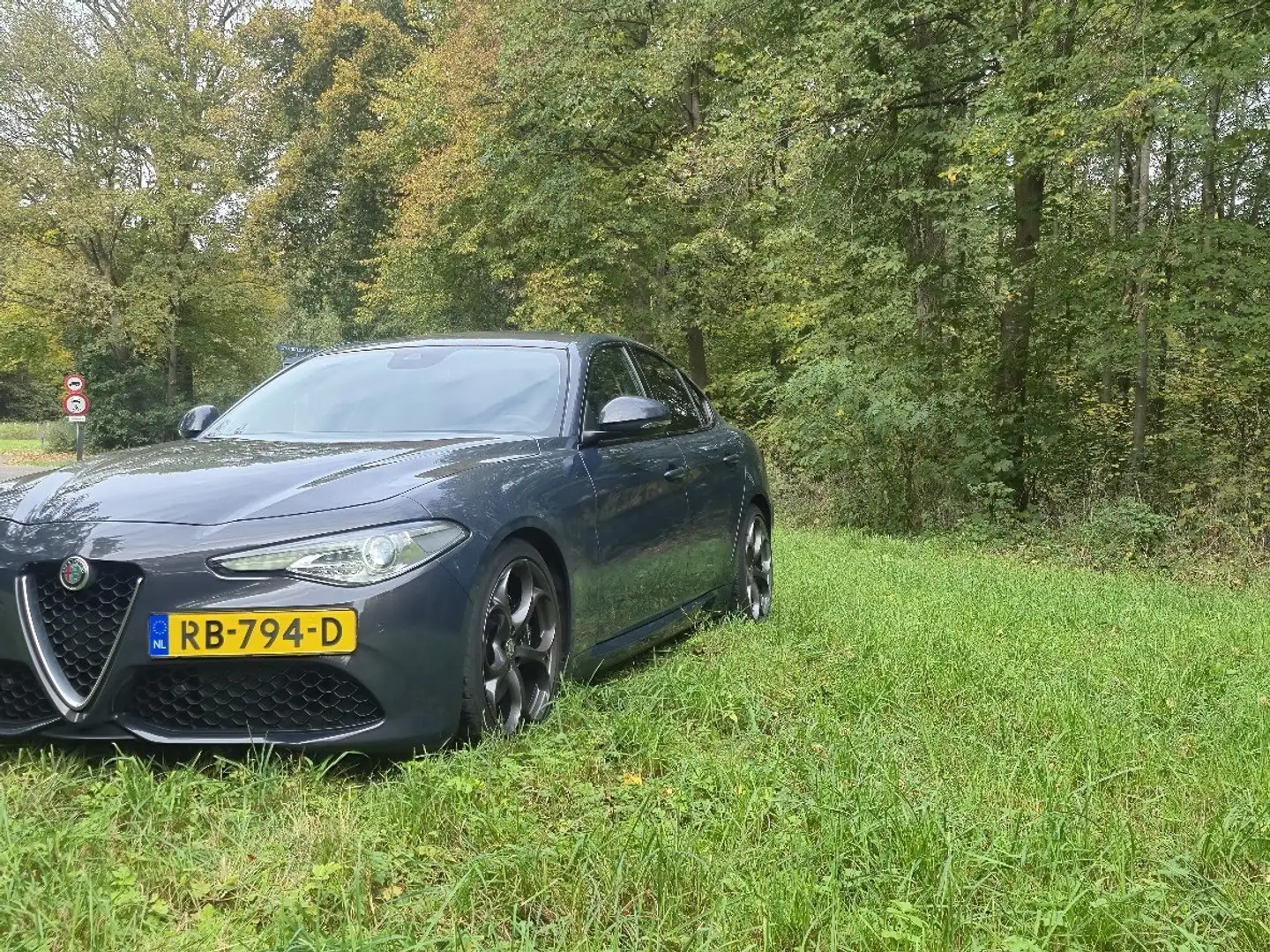 Alfa Romeo Giulia 2.0T Super Blauw - 1