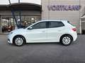 Skoda Fabia Ambition LED/SmartLink/PDC/Sitzhzg Weiß - thumbnail 9