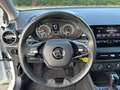 Skoda Fabia Ambition LED/SmartLink/PDC/Sitzhzg Weiß - thumbnail 14