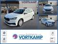 Skoda Fabia Ambition LED/SmartLink/PDC/Sitzhzg Weiß - thumbnail 1