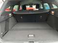 Ford Focus Turnier ST-Line MHEV Navi+LED+Telefon Weiß - thumbnail 12