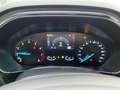 Ford Focus Turnier ST-Line MHEV Navi+LED+Telefon Weiß - thumbnail 16